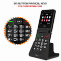 Used - TT660 Flip Mobile with Dock Charger, Giffgaff SIM